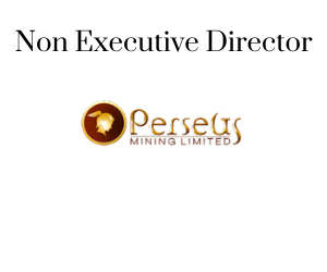 Non Executive Director, Perseus Mining Limited