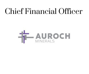 Chief Financial Officer, Auroch minerals