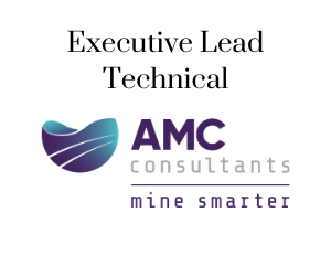 Executive Lead Technical, AMC