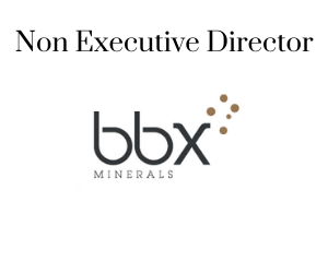 Non Executive Director, bbx minerals 