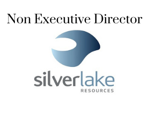 Non Executive Director, Sliverlake 