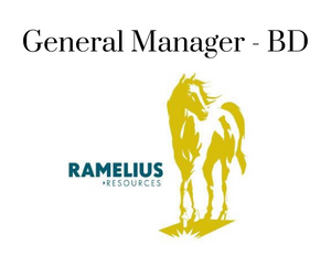 General Manager - BD, Ramelius Resources 